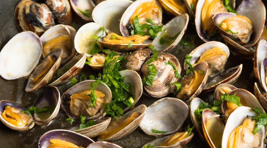 Encuentra los mejores restaurantes del Puerto Olímpico de Barcelona